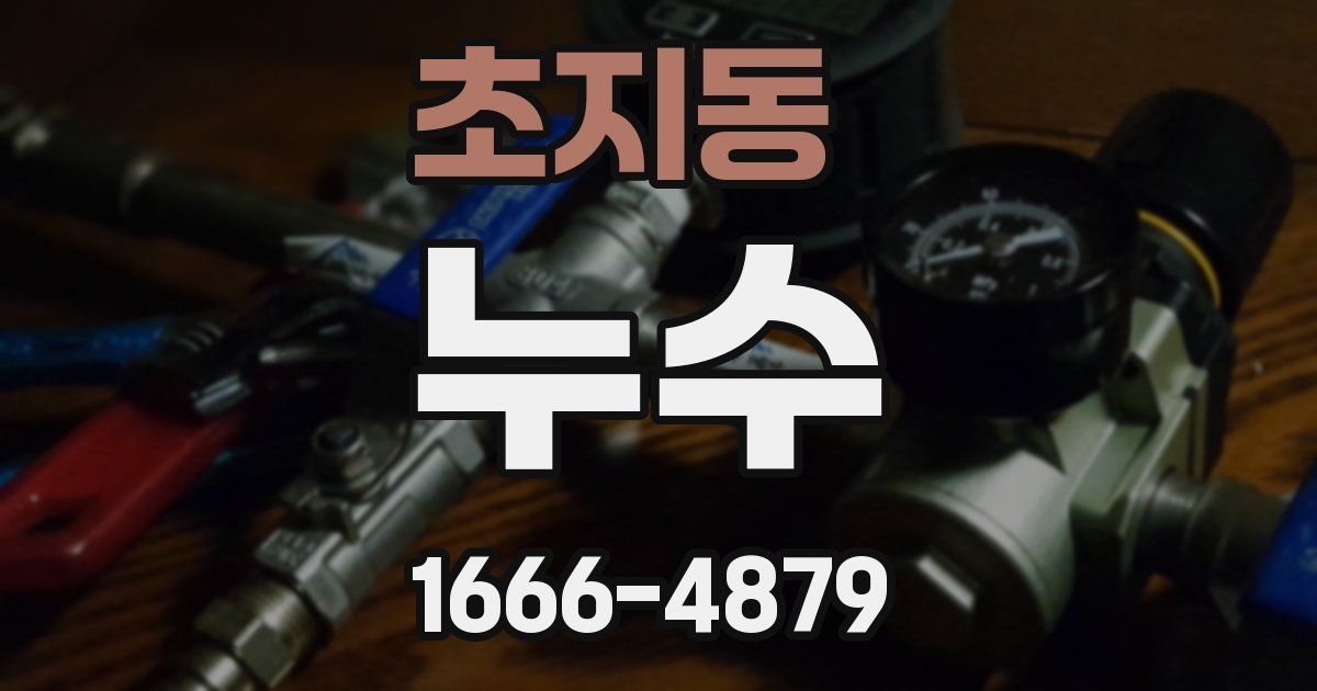 초지동 누수