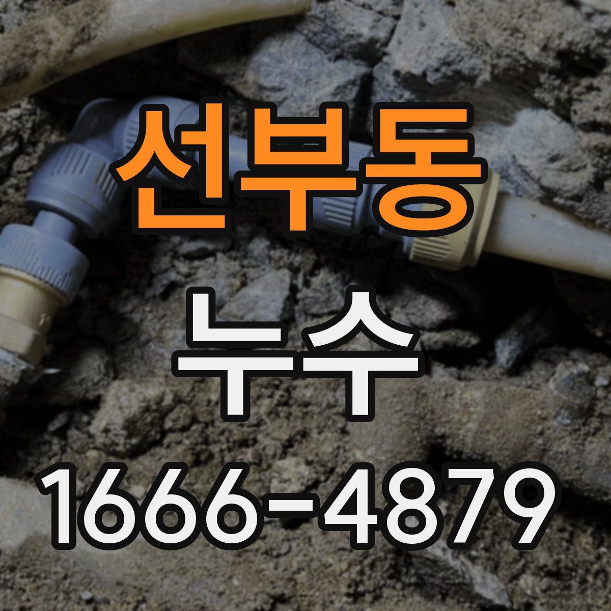 선부동 누수