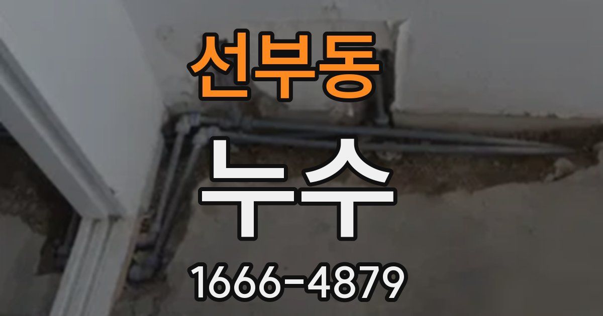 선부동 누수