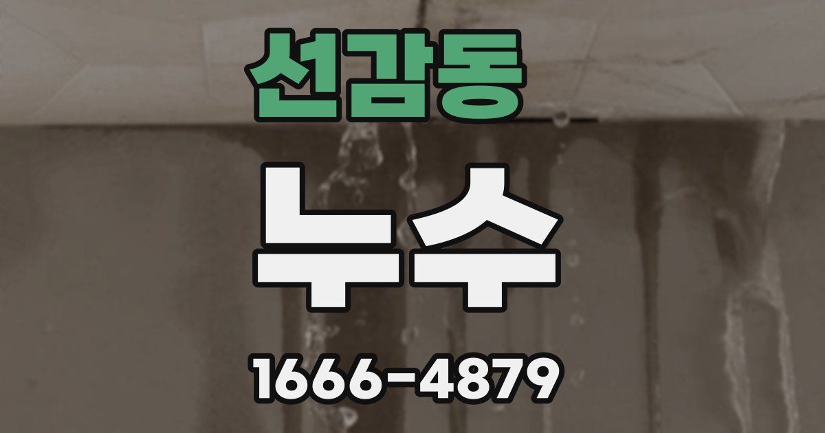 선감동 누수
