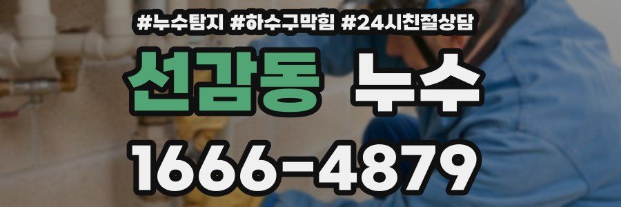 선감동 누수