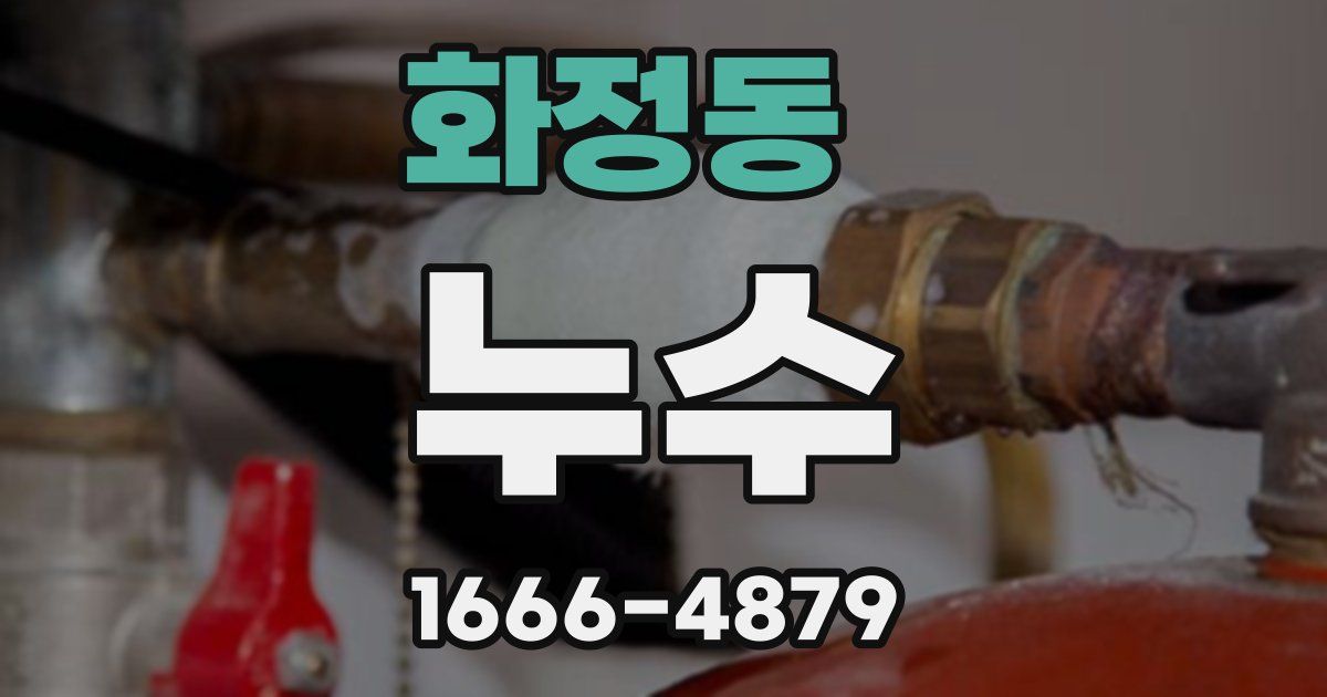 화정동 누수