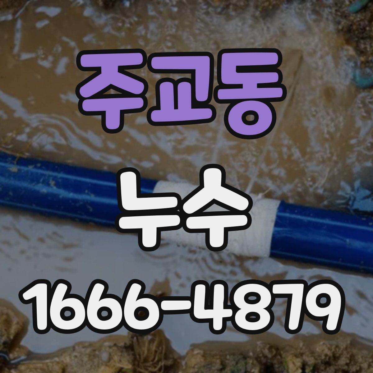 주교동 누수