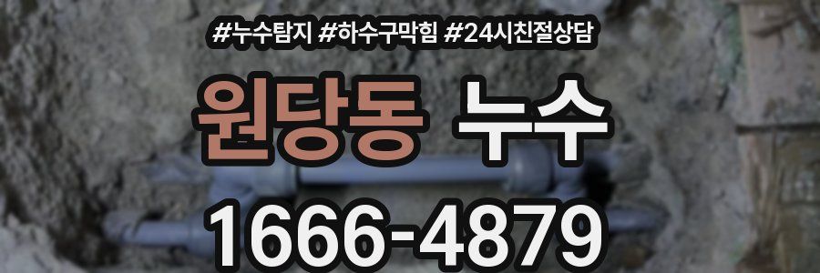 원당동 누수