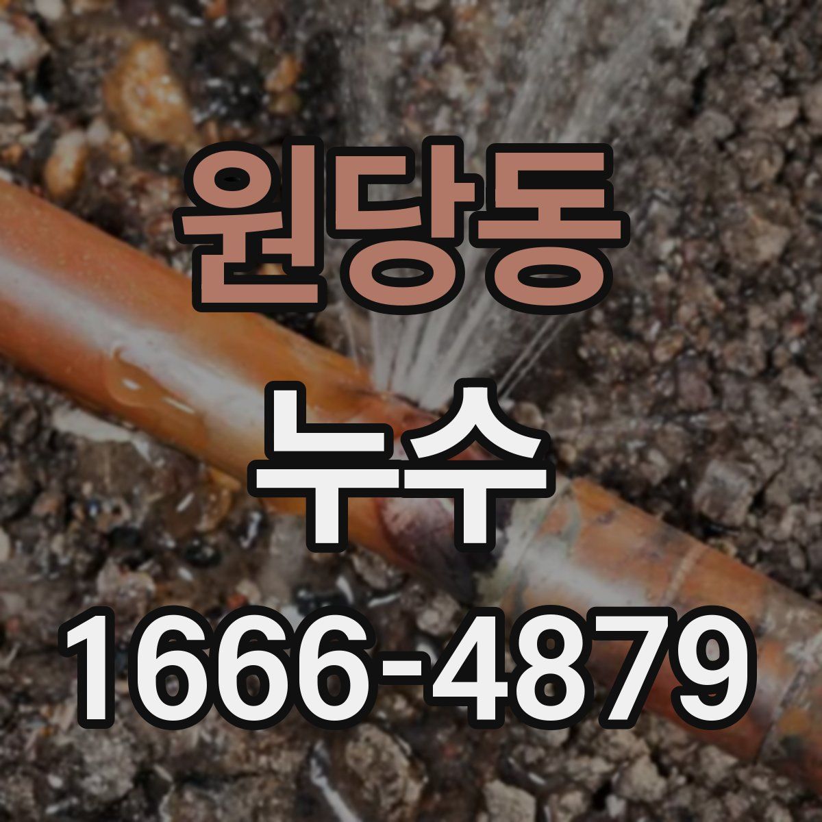 원당동 누수