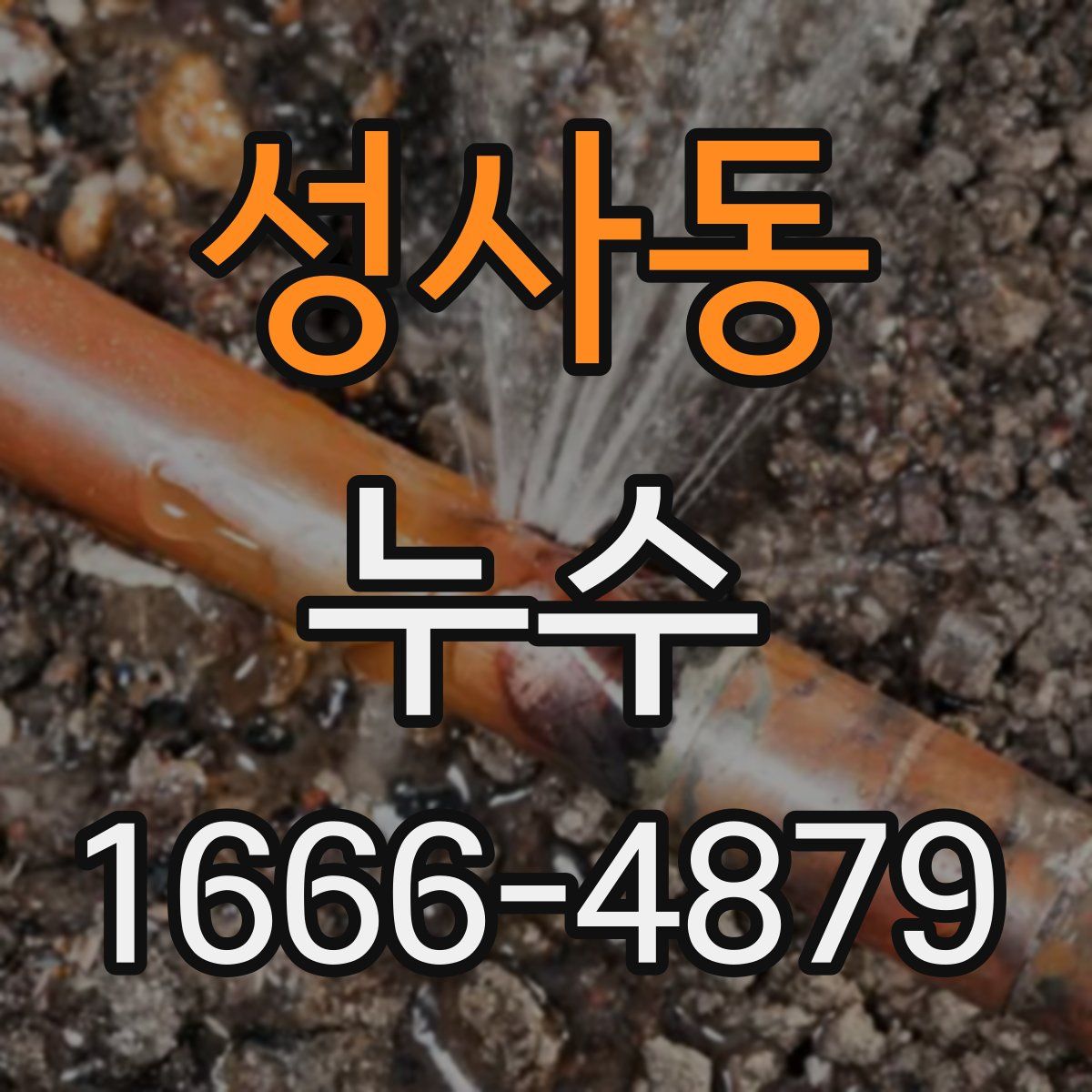 성사동 누수