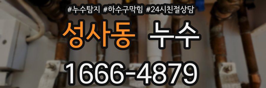 성사동 누수