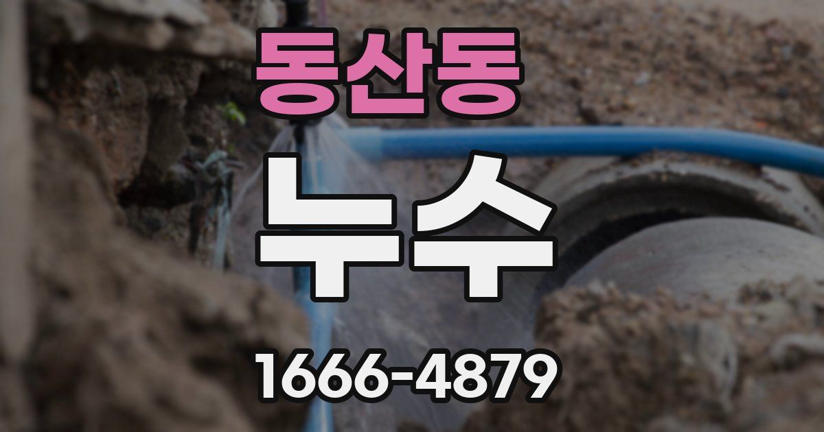 동산동 누수