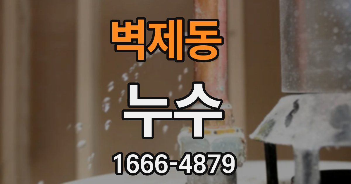 벽제동 누수