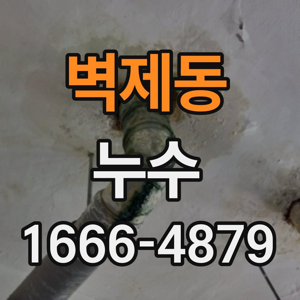 벽제동 누수