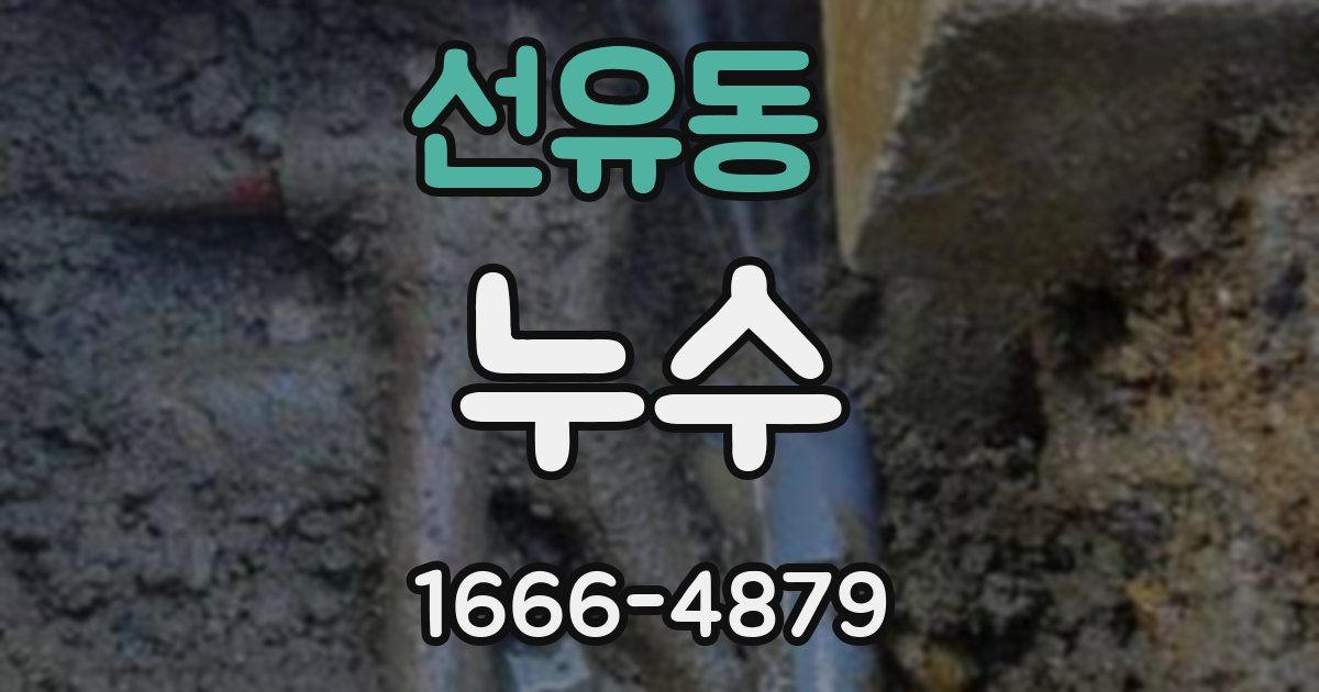 선유동 누수