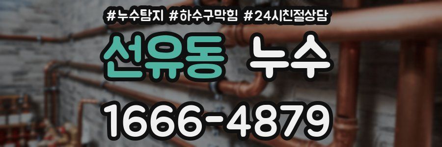 선유동 누수