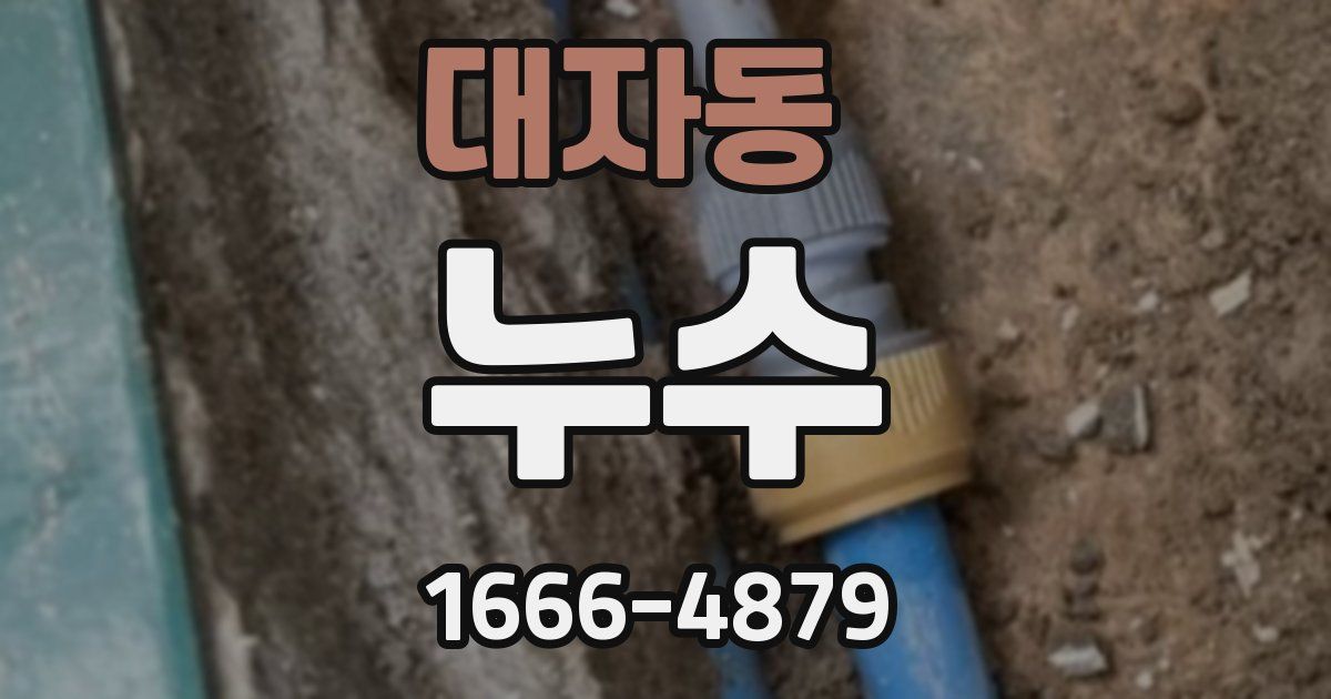 대자동 누수