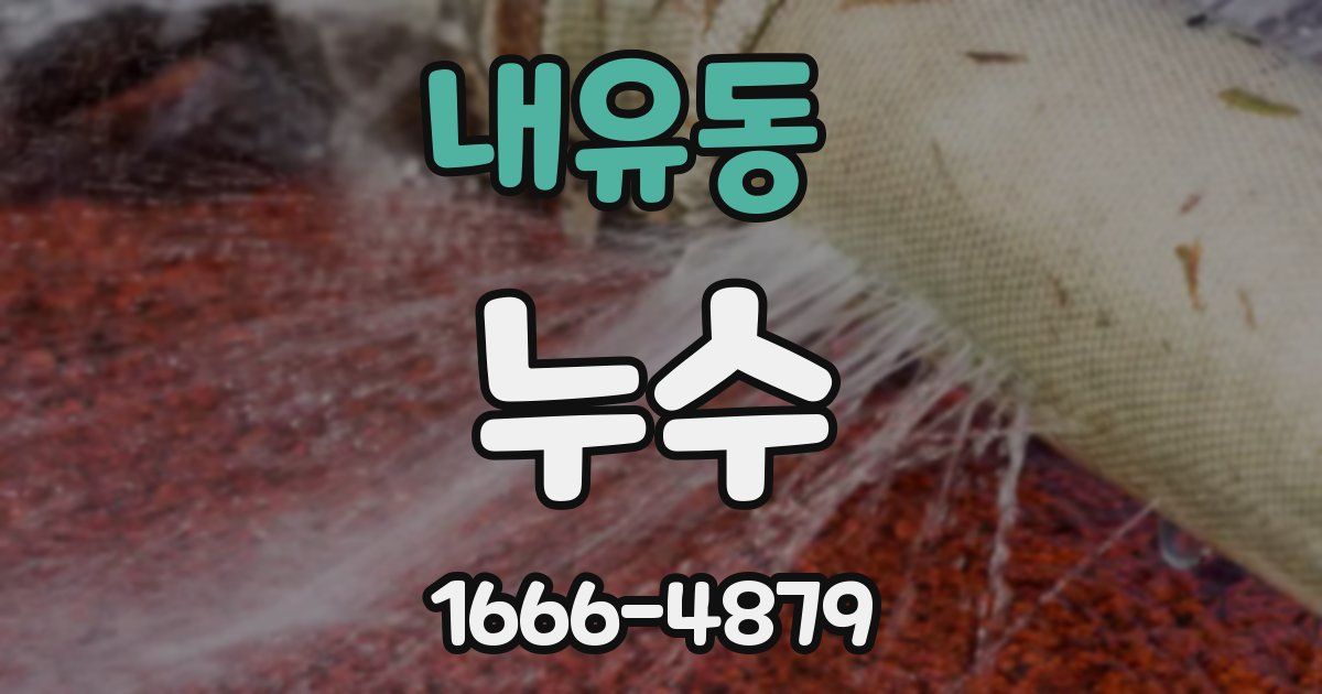 내유동 누수