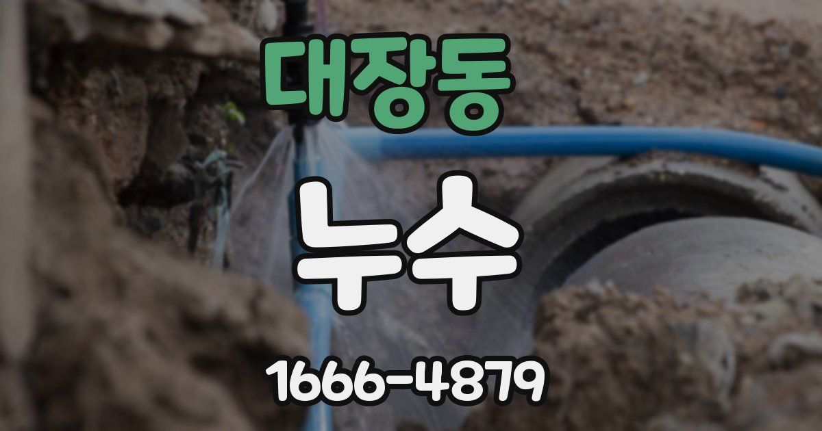 대장동 누수