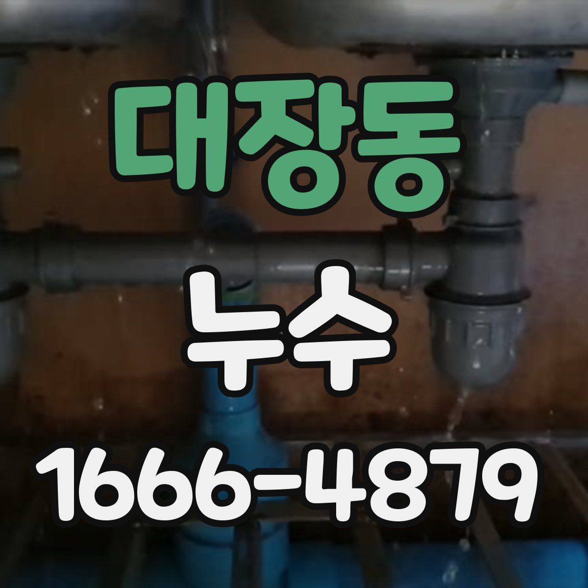 대장동 누수