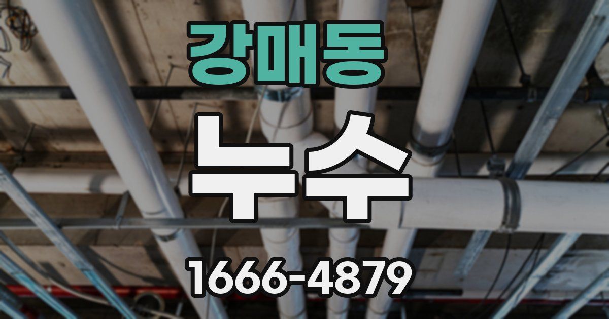 강매동 누수
