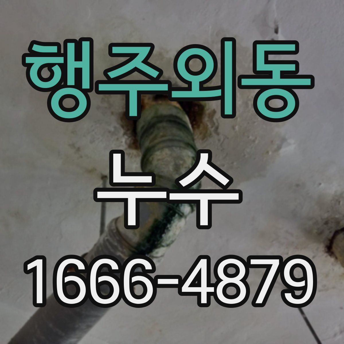 행주외동 누수