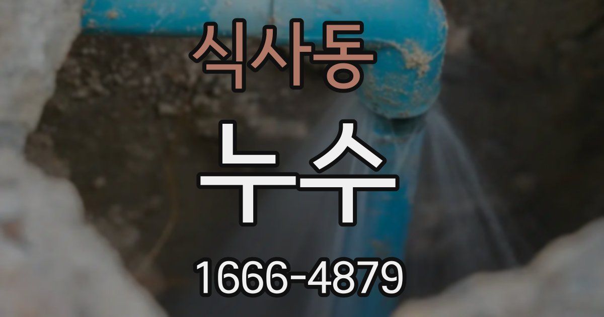 식사동 누수