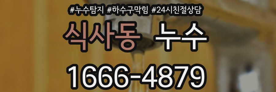 식사동 누수