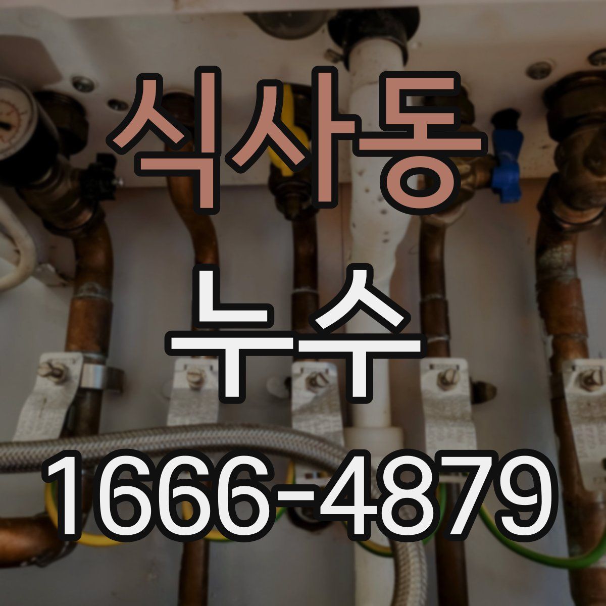 식사동 누수