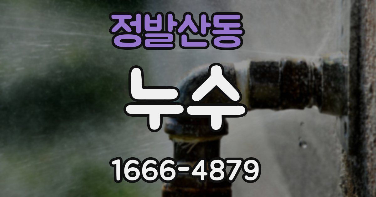 정발산동 누수