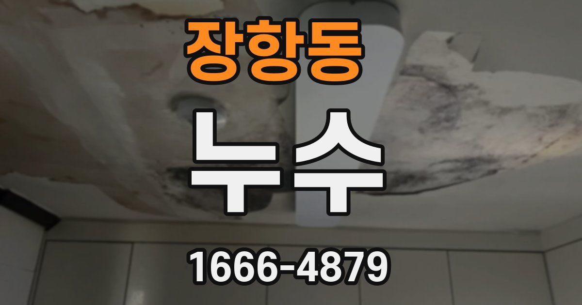 장항동 누수