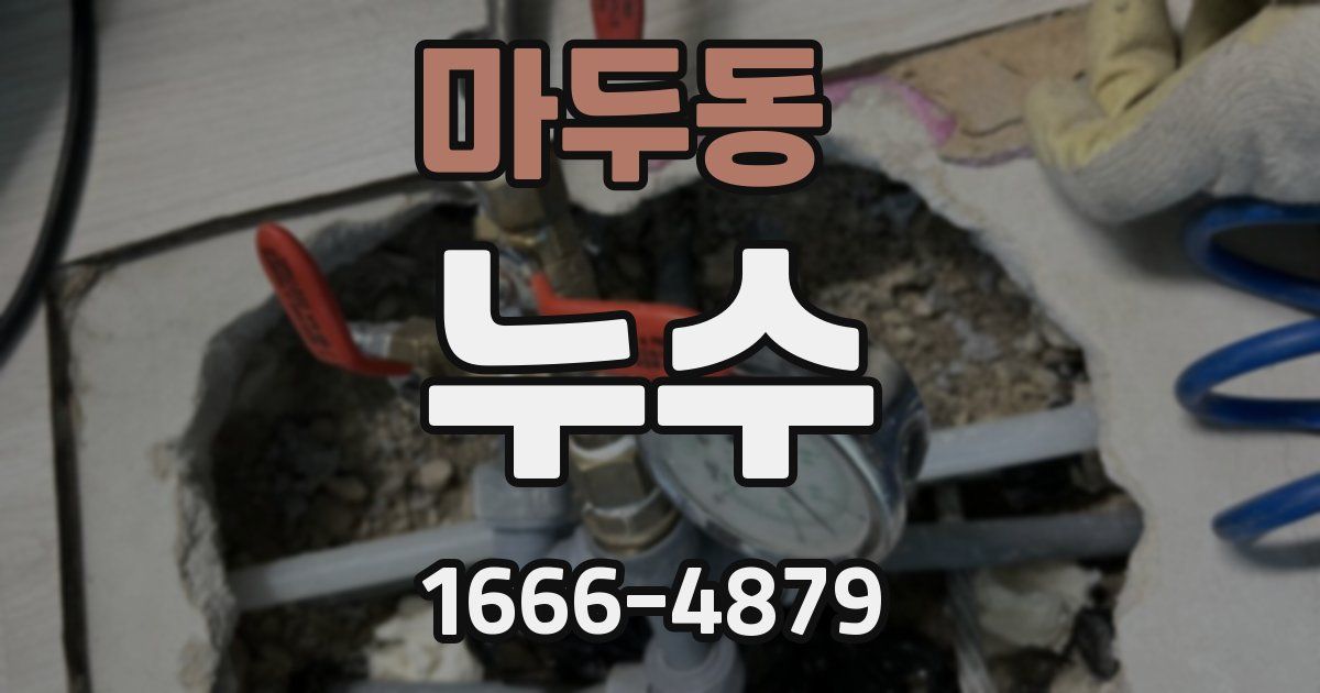 마두동 누수