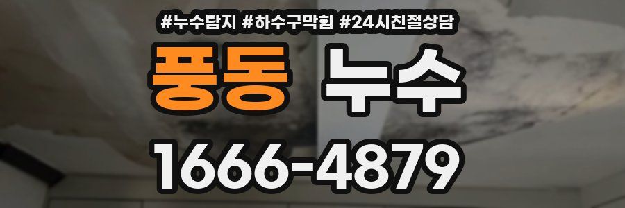 풍동 누수