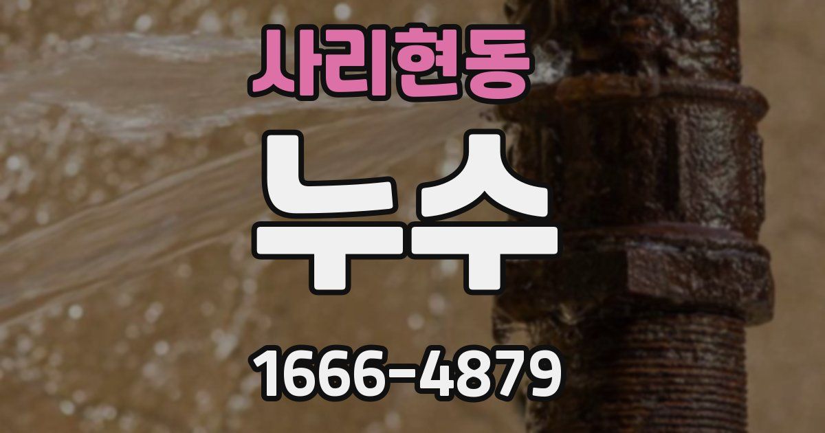 사리현동 누수