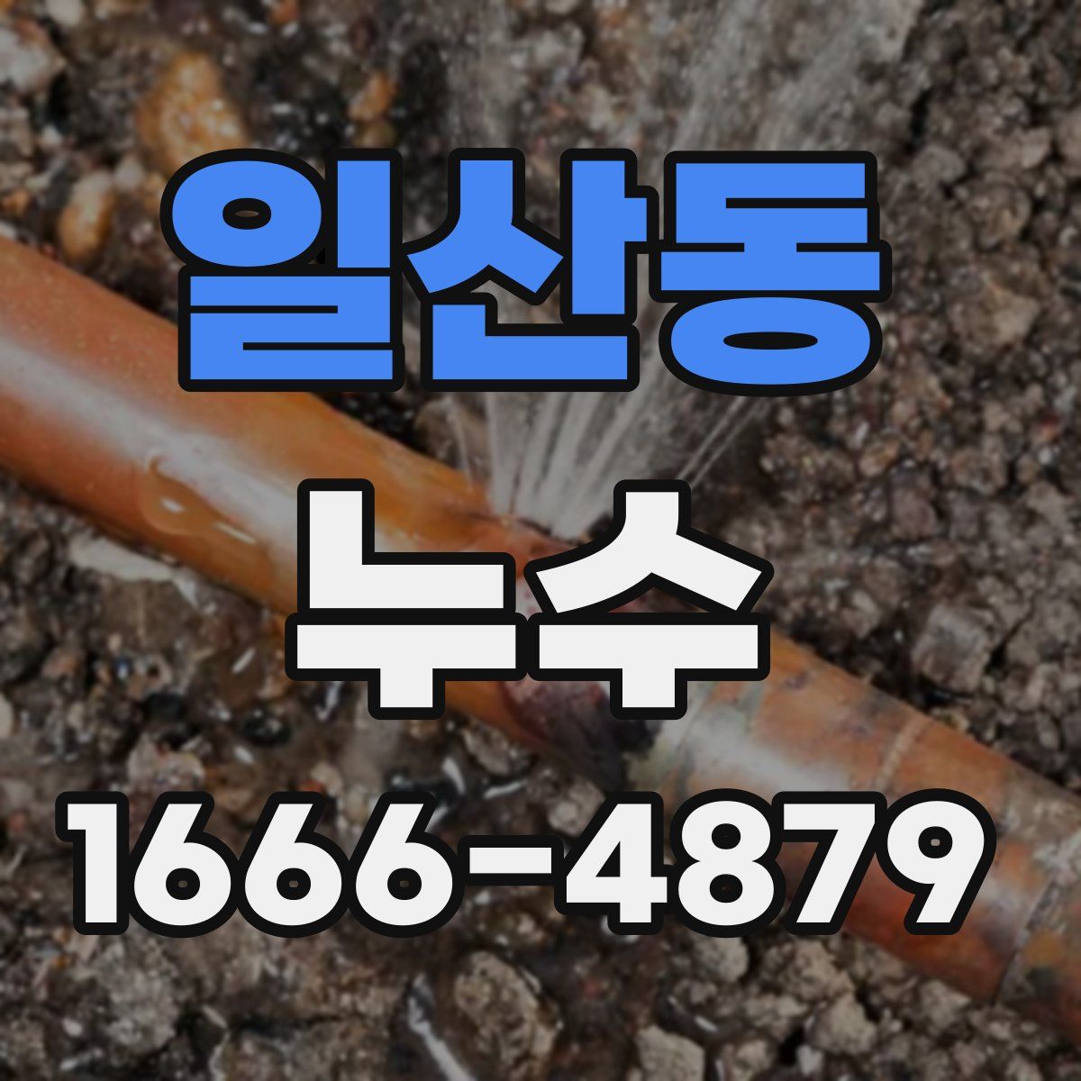 일산동 누수