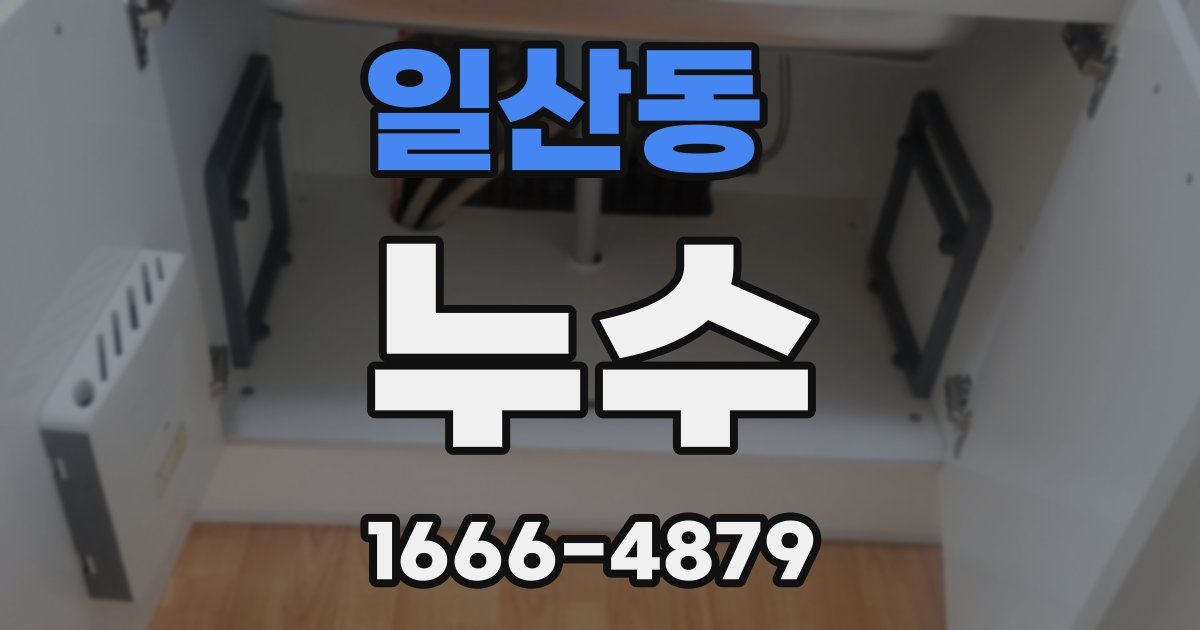 일산동 누수
