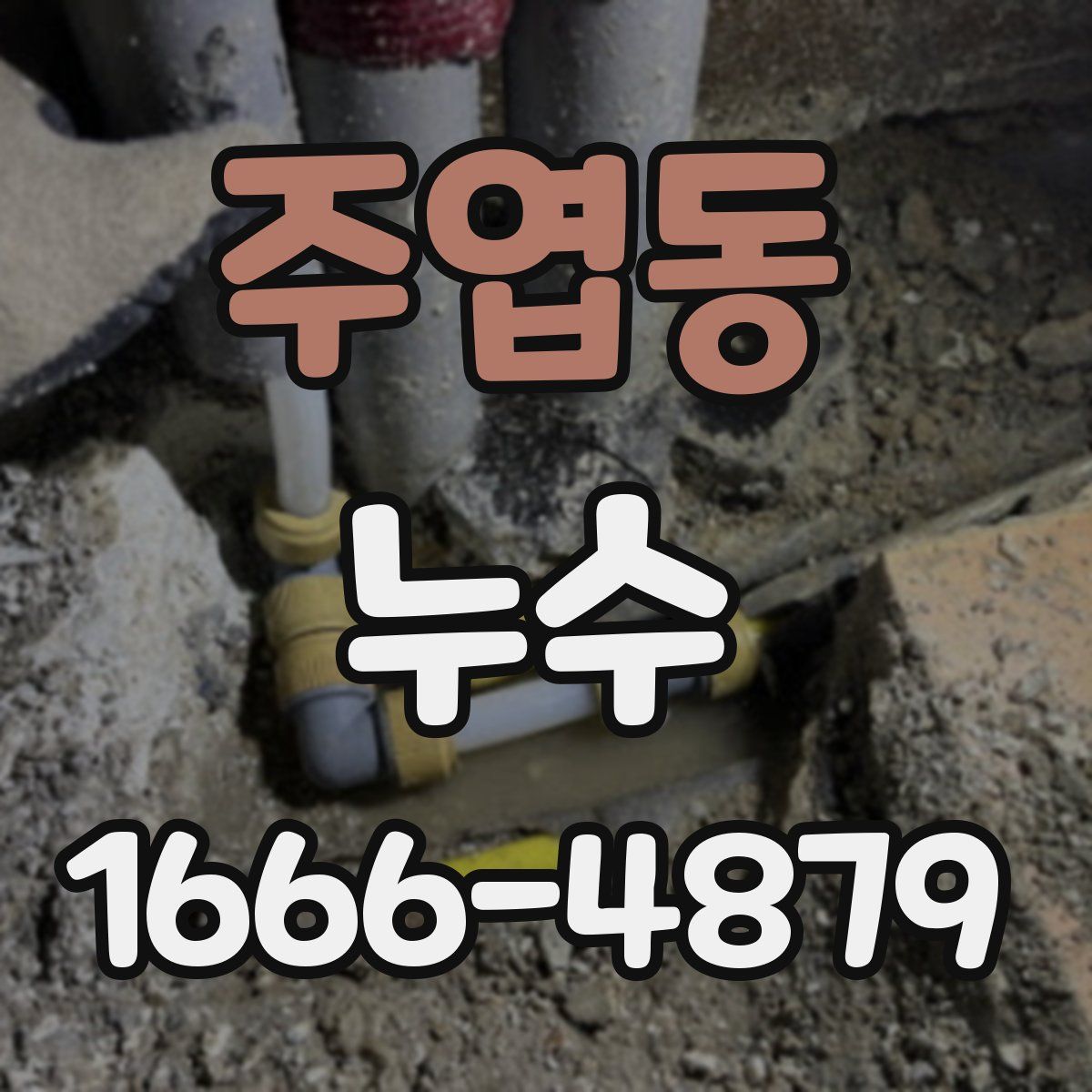 주엽동 누수