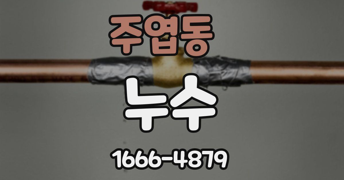 주엽동 누수