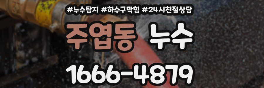 주엽동 누수