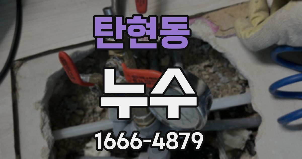 탄현동 누수