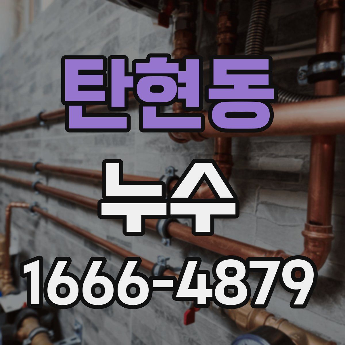 탄현동 누수