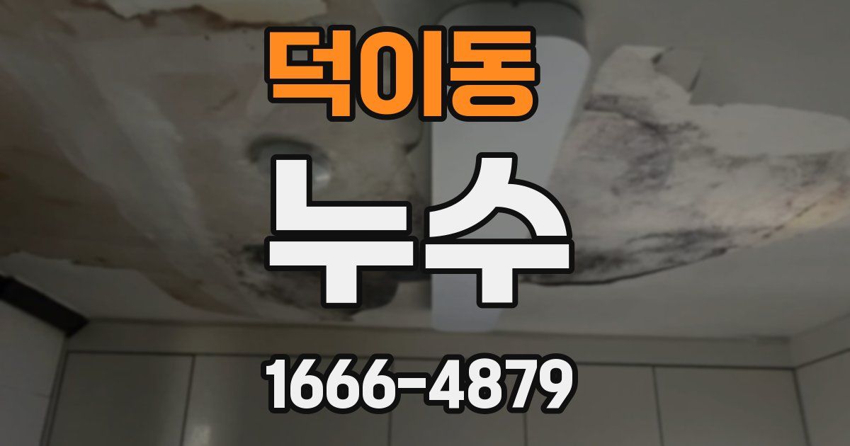 덕이동 누수