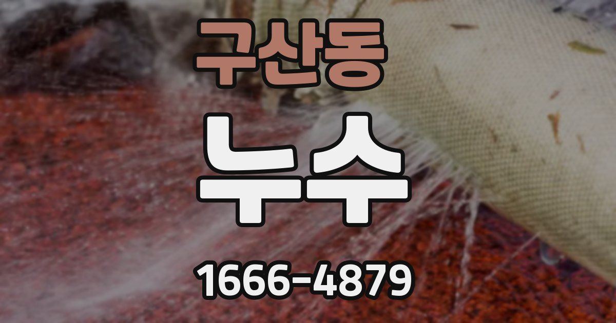 구산동 누수