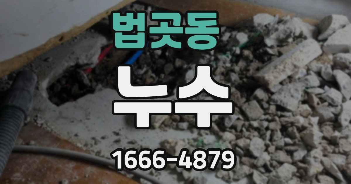 법곳동 누수