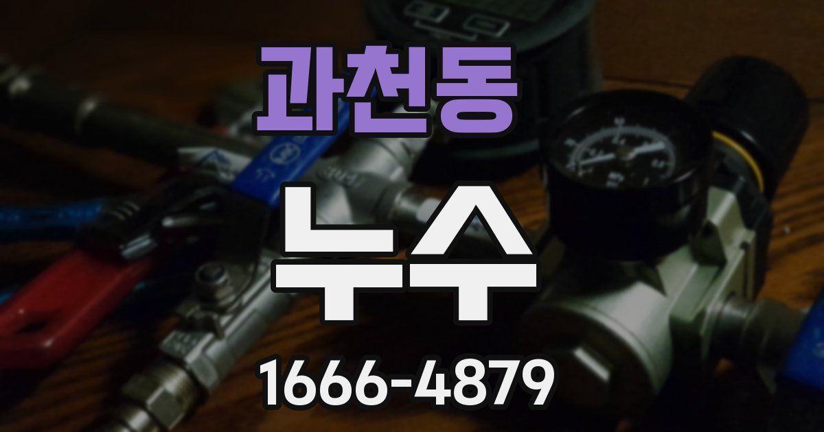 과천동 누수