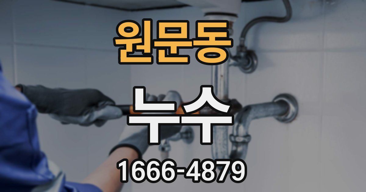 원문동 누수