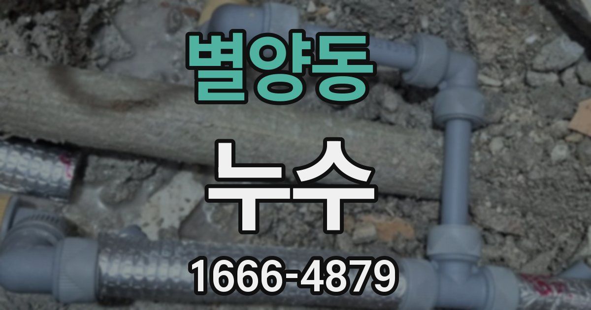별양동 누수