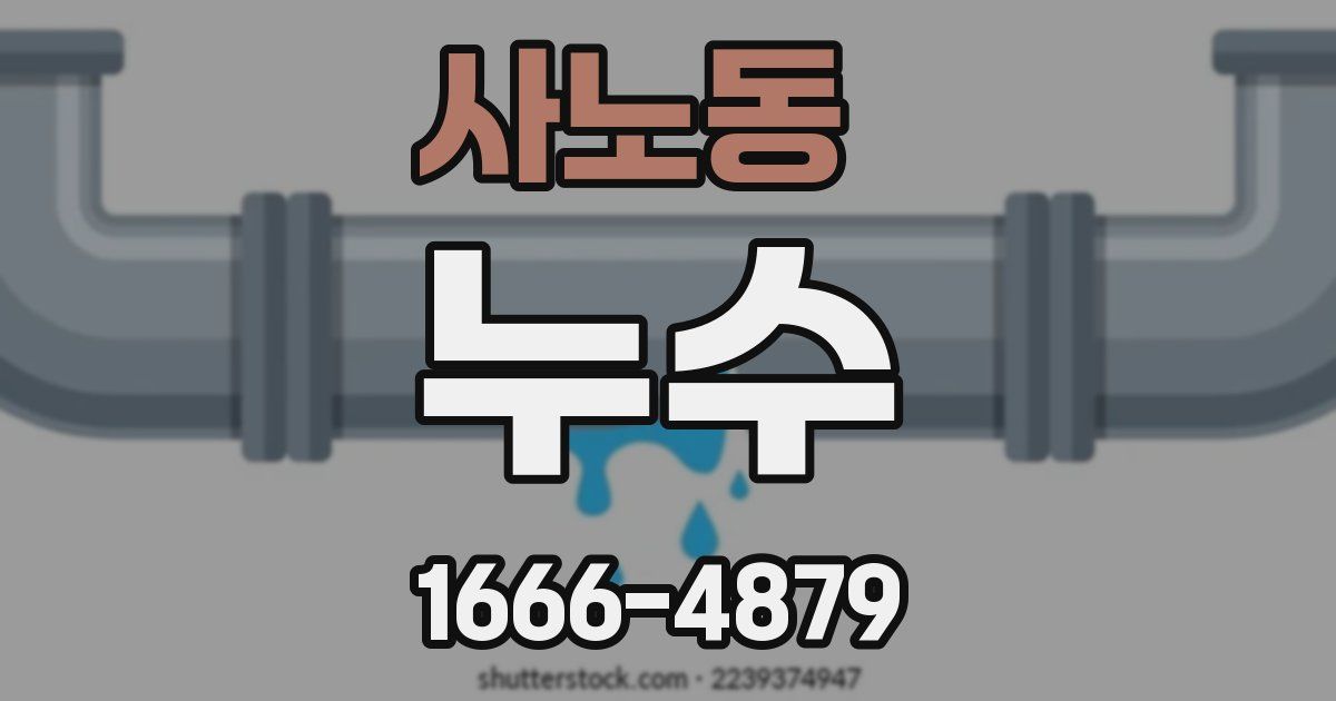사노동 누수