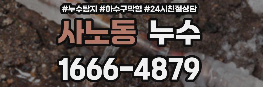 사노동 누수