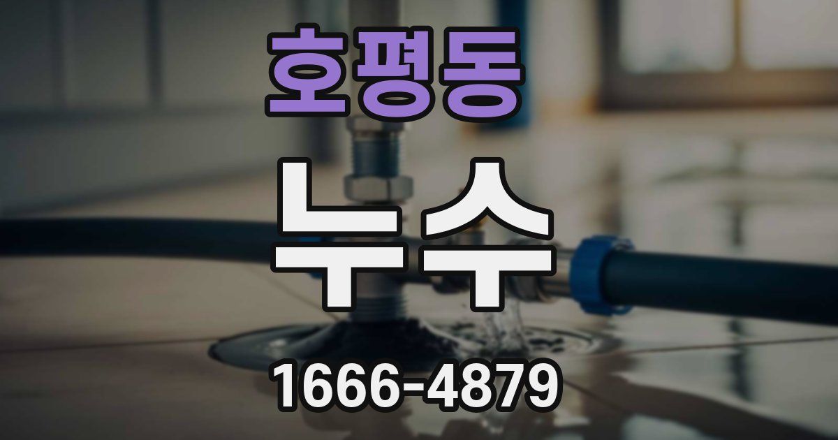 호평동 누수