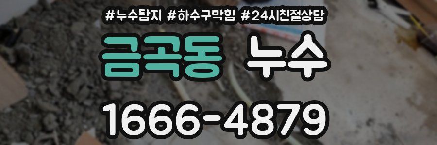 금곡동 누수