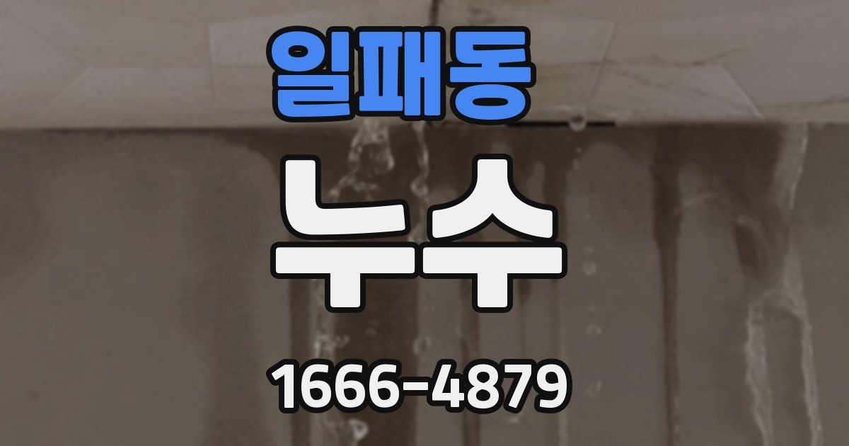 일패동 누수