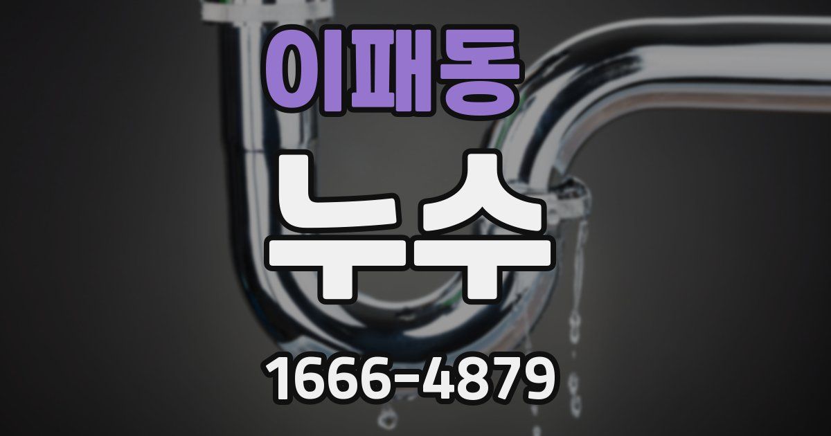 이패동 누수