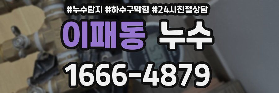 이패동 누수